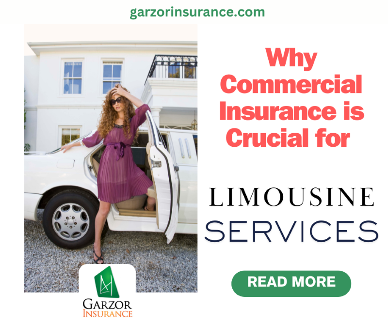 Limousine Insurance Garzor